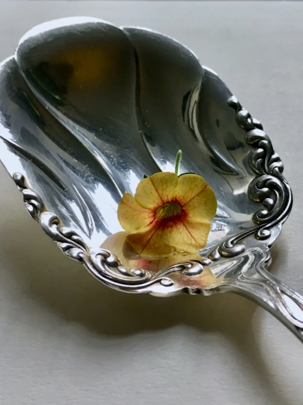 American Silver SP Co. Silver Berry Spoon, C. 1900
